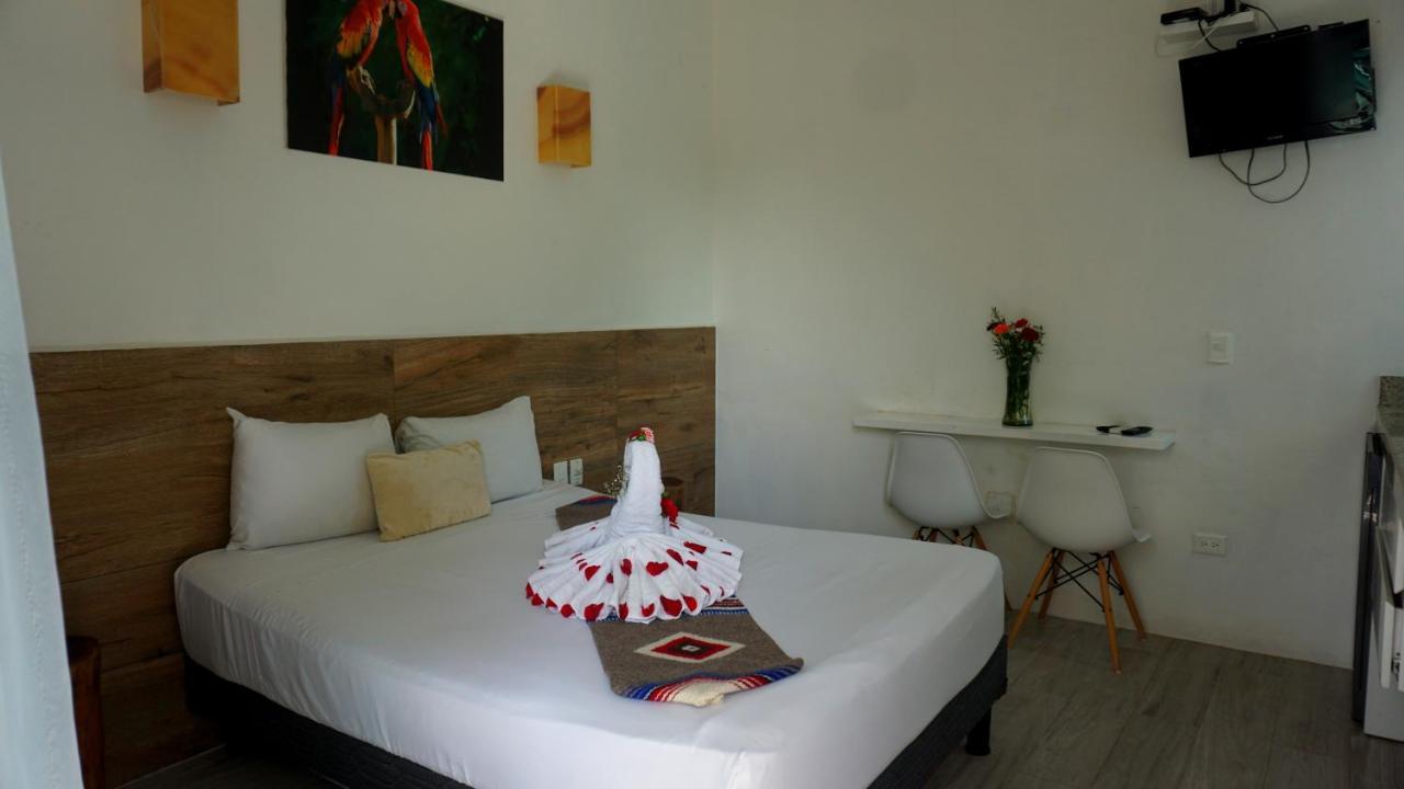 Selva Y Mar Apart Hotel Playa del Carmen Extérieur photo