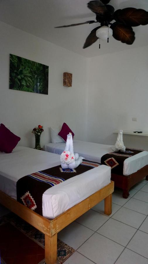 Selva Y Mar Apart Hotel Playa del Carmen Extérieur photo