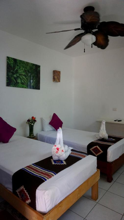 Selva Y Mar Apart Hotel Playa del Carmen Extérieur photo