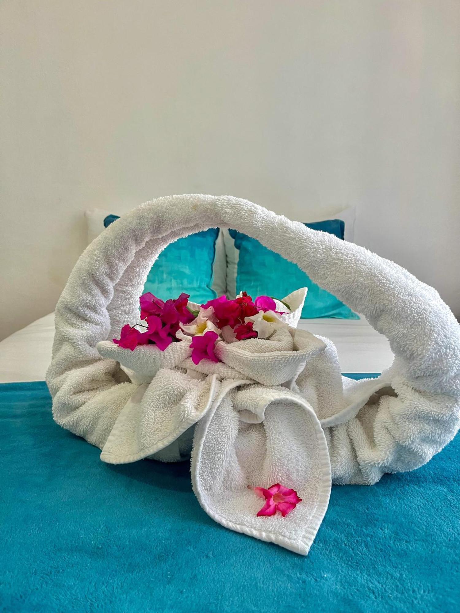 Selva Y Mar Apart Hotel Playa del Carmen Extérieur photo